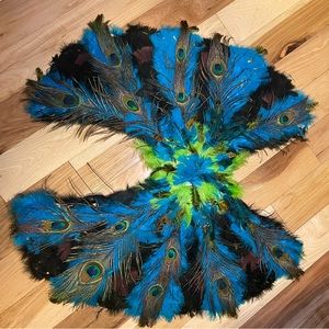 Beautiful unused Peacock wings